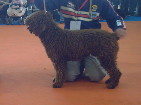 farruquito