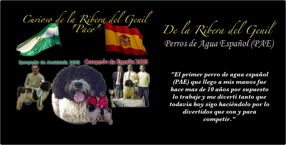 Perros de agua de la Ribera del Genil