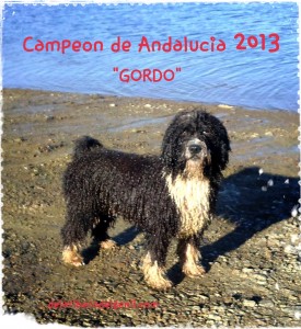 gordo