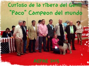 paco campeon del mudo